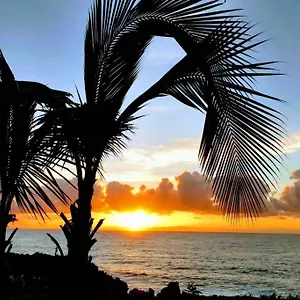  Apartment Paradise Palms United States